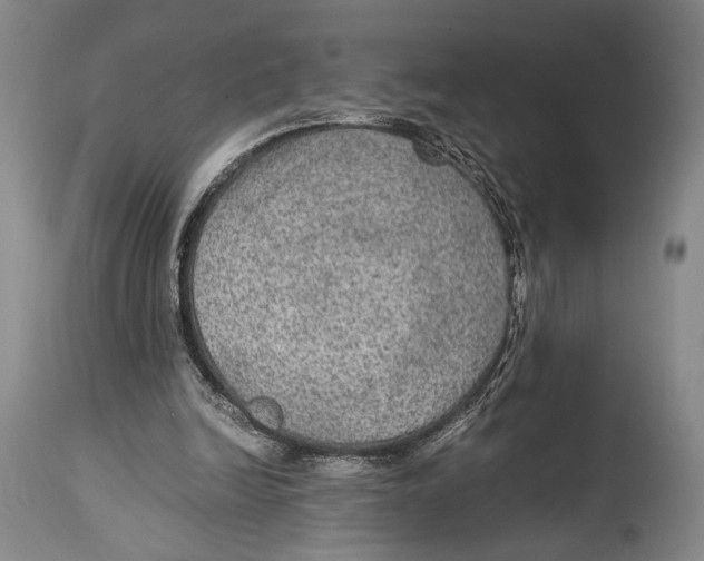 X0000114680246200911121502