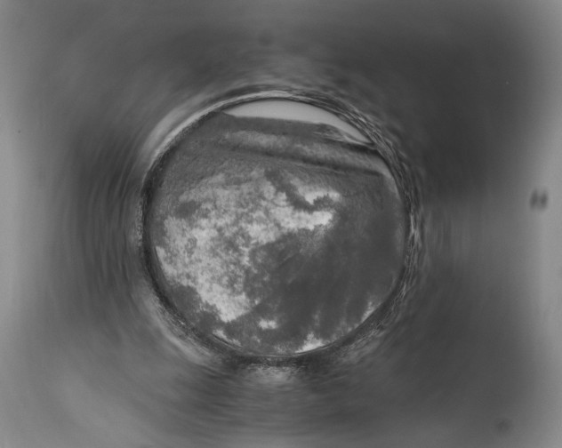 X0000114680247200911121502