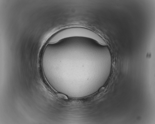 X0000114680248200911121502