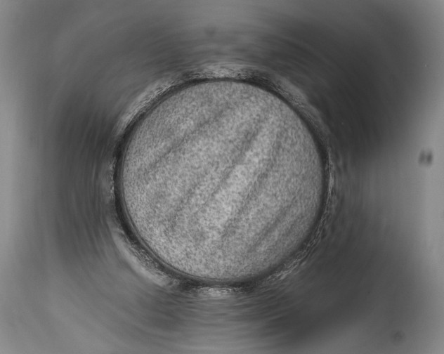 X0000114680250200911121502