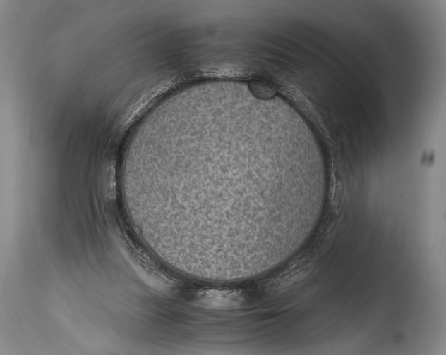 X0000114680251200911121502