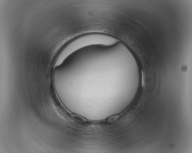 X0000114680252200911121502