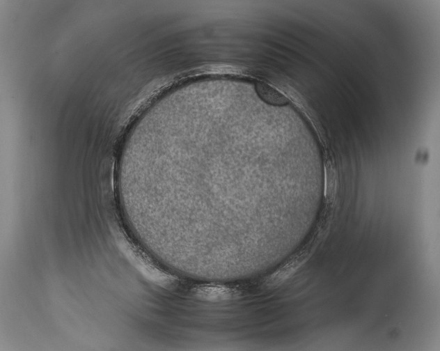 X0000114680253200911121502