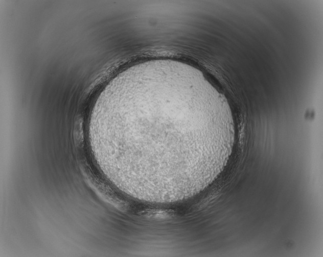X0000114680254200911121502