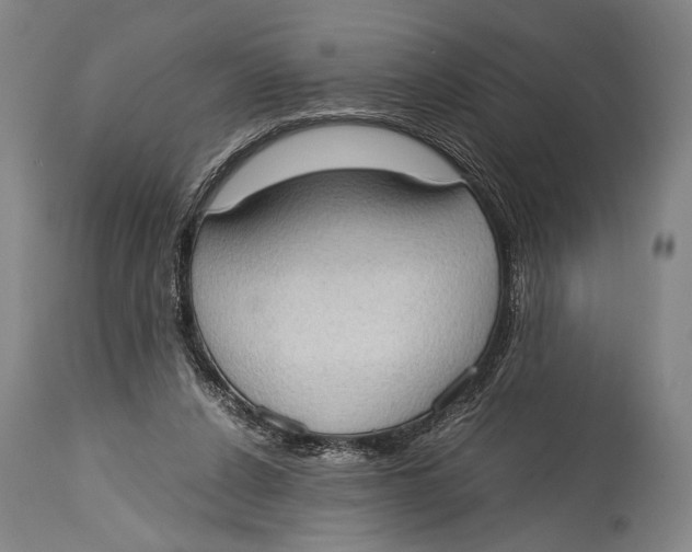 X0000114680256200911121502