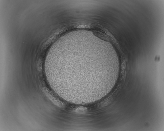 X0000114680257200911121502