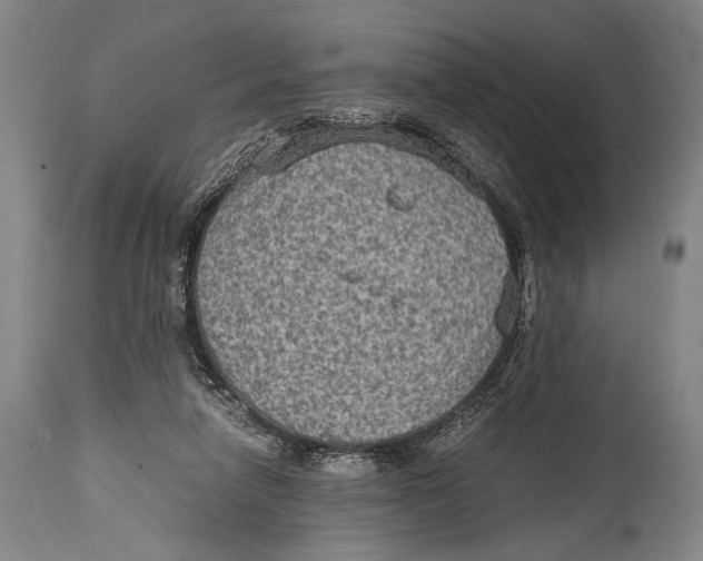 X0000114680258200911121502