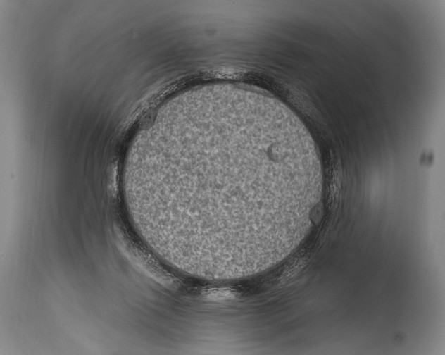 X0000114680262200911121502