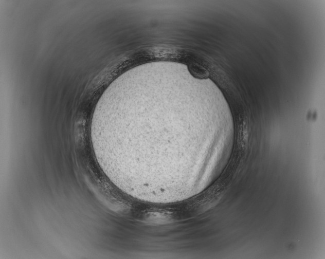 X0000114680263200911121502
