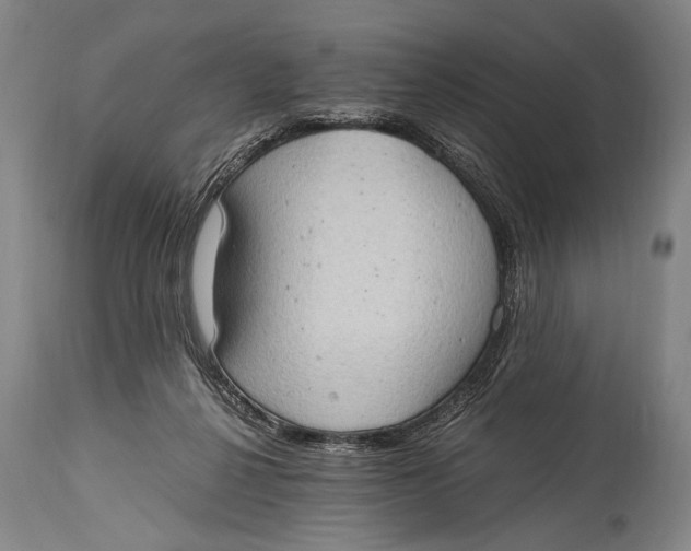 X0000114680264200911121502