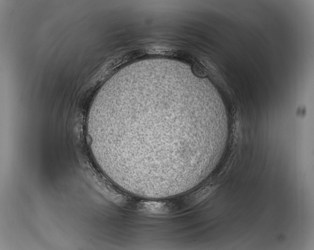 X0000114680265200911121502