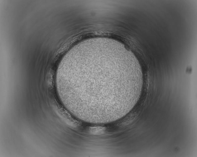 X0000114680266200911121502