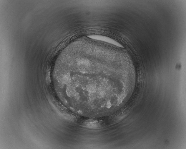 X0000114680267200911121502