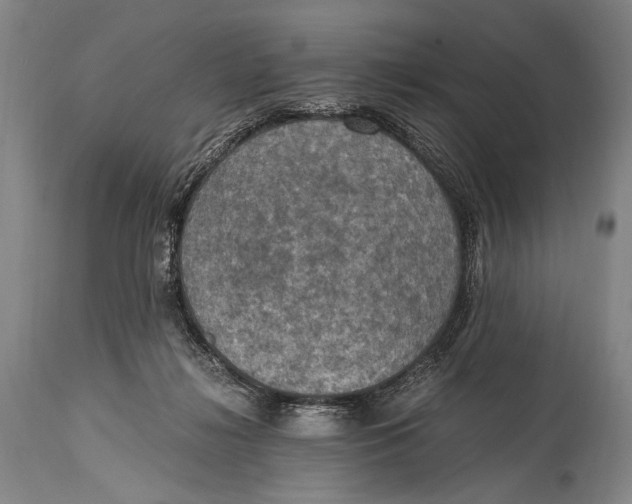 X0000114680268200911121502