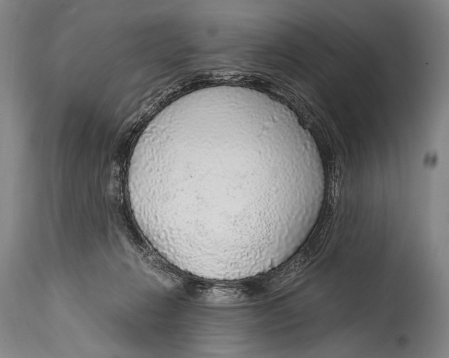 X0000114680270200911121502