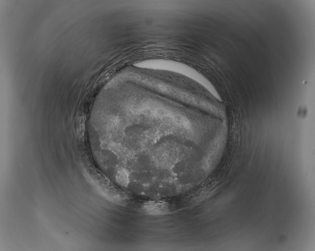 X0000114680271200911121502