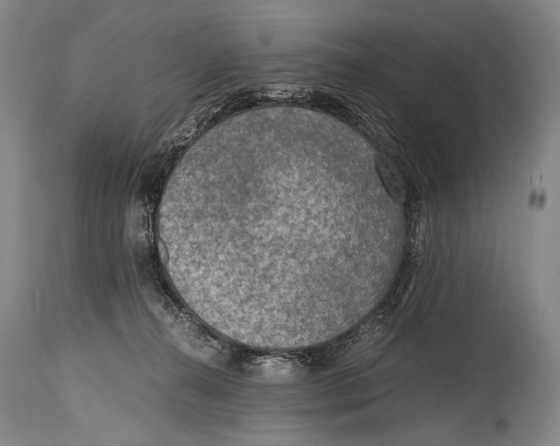X0000114680272200911121502