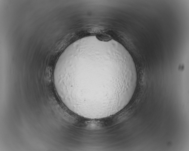 X0000114680273200911121503