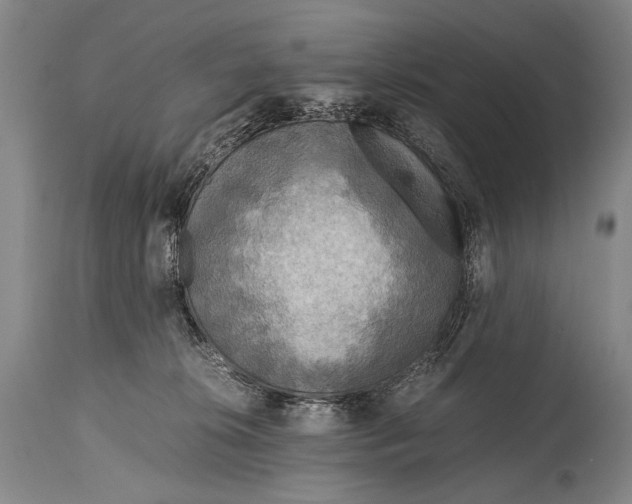 X0000114680276200911121503