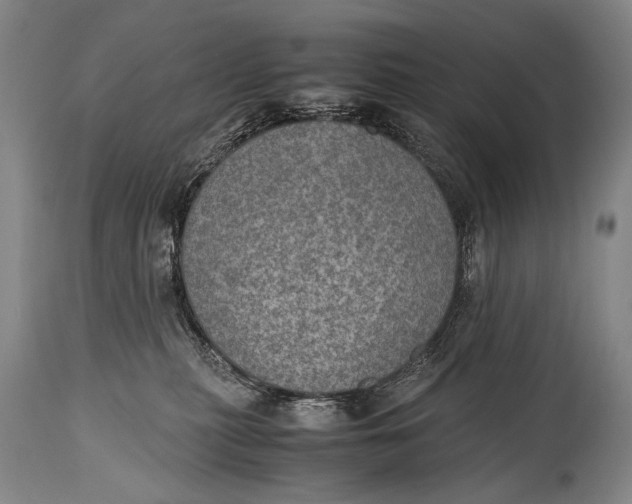 X0000114680279200911121503