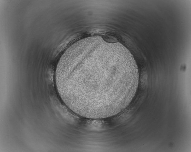 X0000114680282200911121503