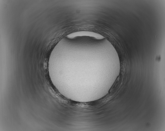 X0000114680284200911121503