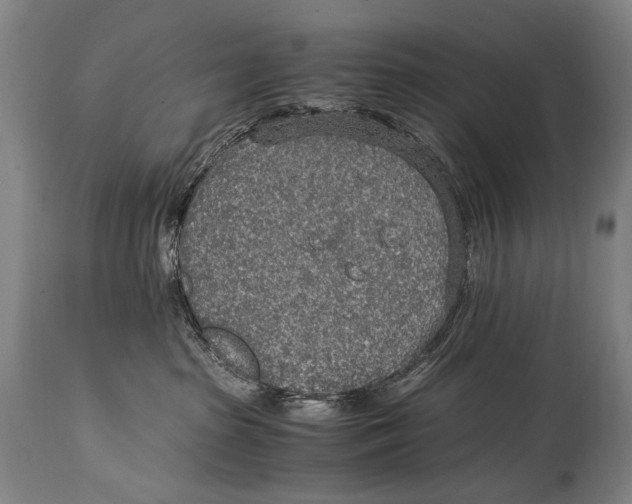 X0000114680285200911121503