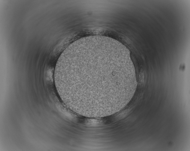 X0000114680286200911121503