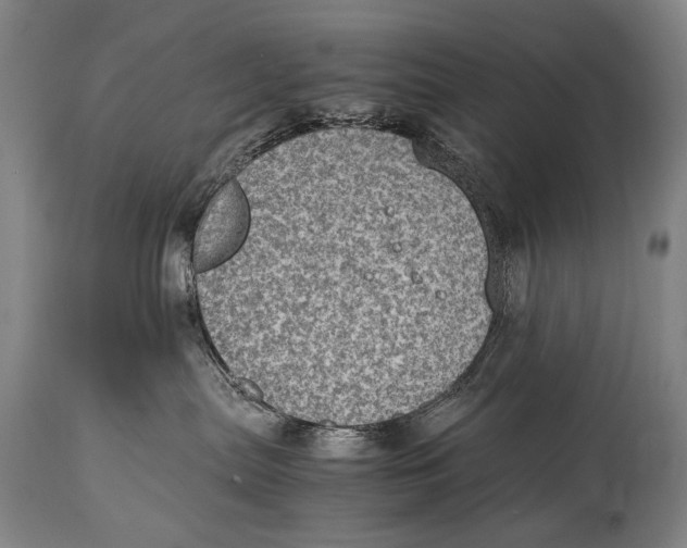 X0000114680287200911121503