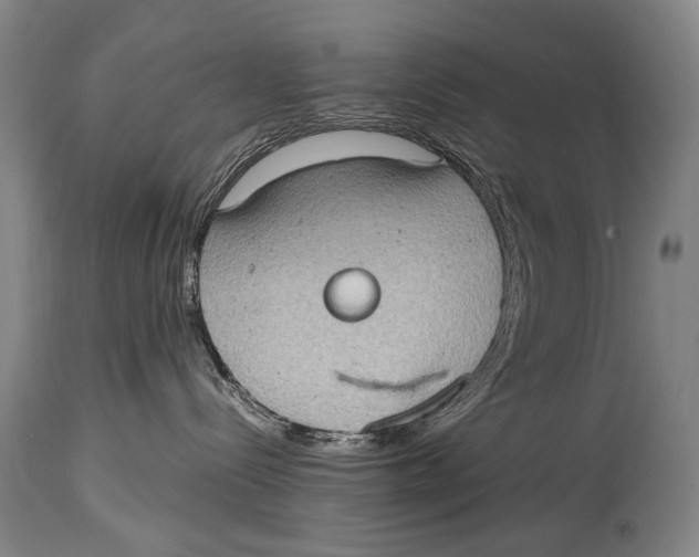 X0000114680288200911121503