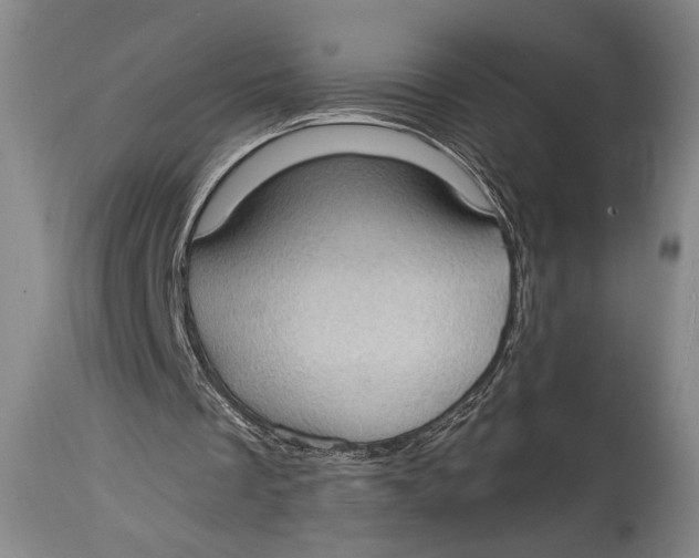 X0000114680289200911121502