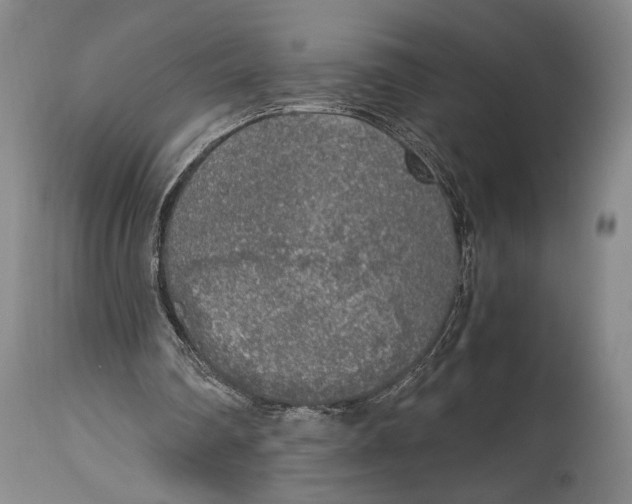 X0000114680290200911121502