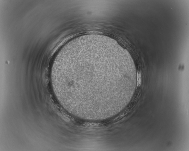 X0000114680291200911121502