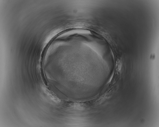 X0000114680292200911121502