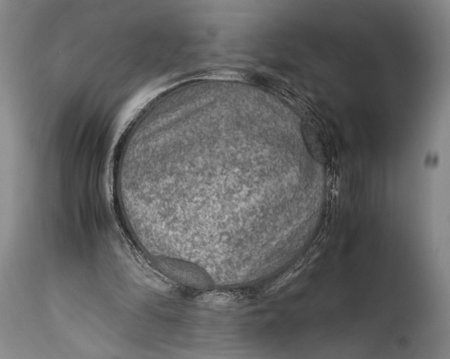 X0000114680294200911121502
