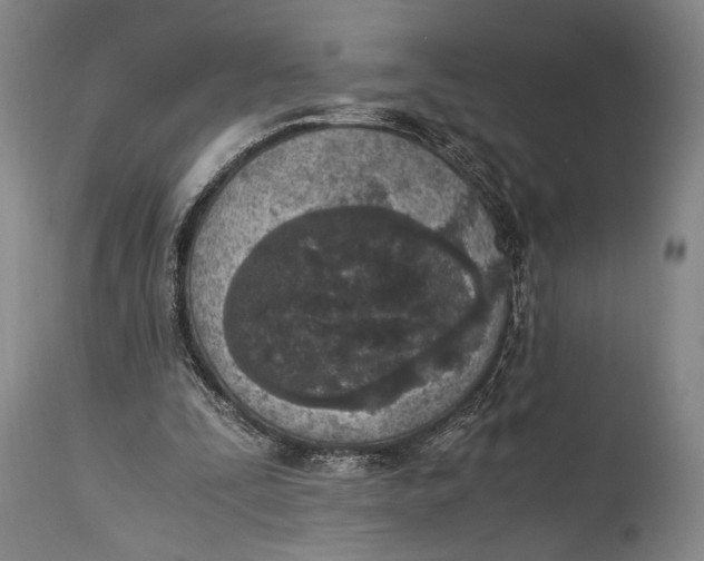 X0000114680295200911121502
