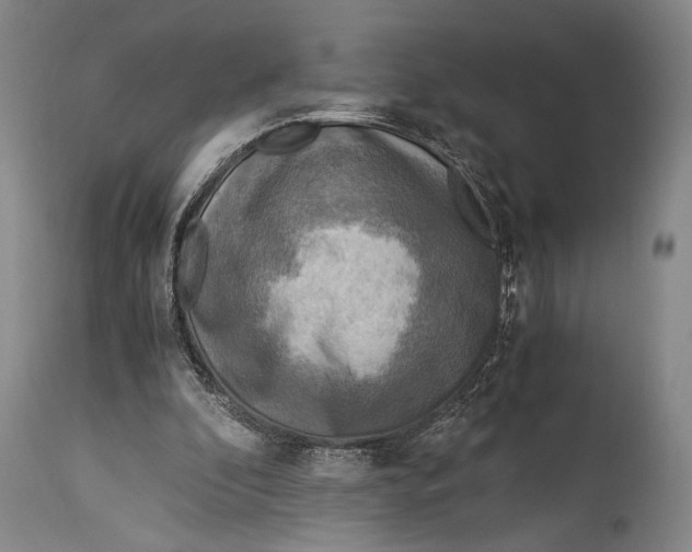 X0000114680296200911121502