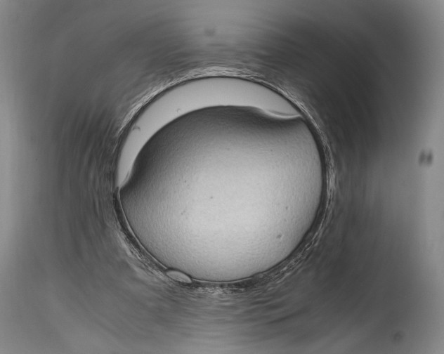 X0000114680297200911121502