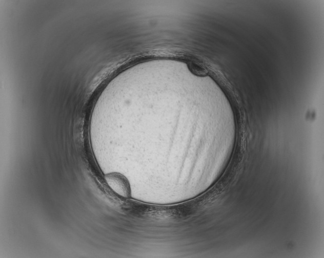X0000114680299200911121502