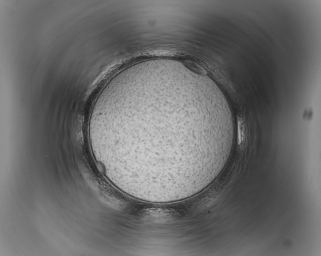 X0000114680300200911121502
