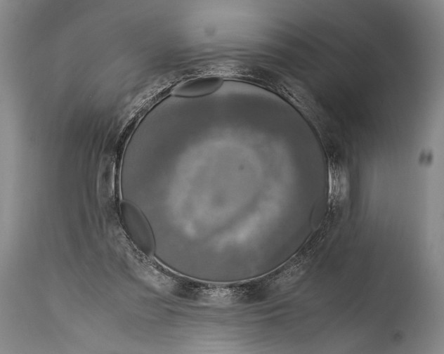 X0000114680301200911121502