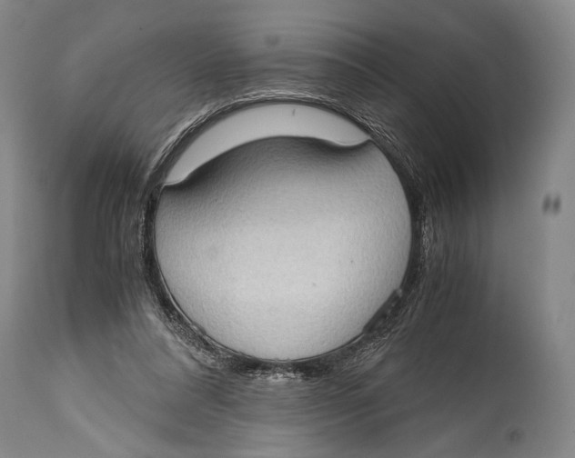 X0000114680304200911121502