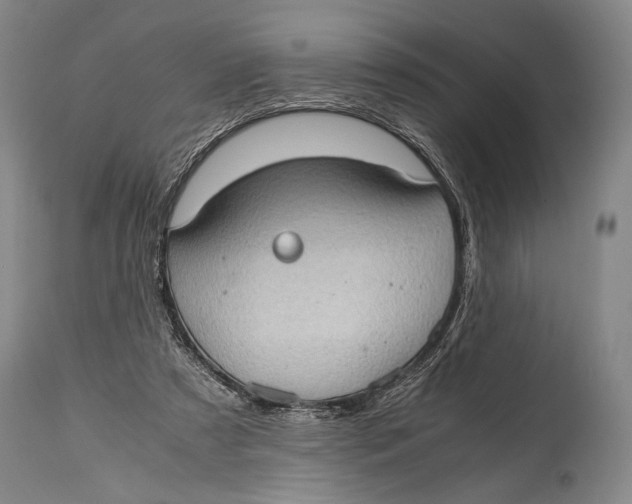 X0000114680305200911121502