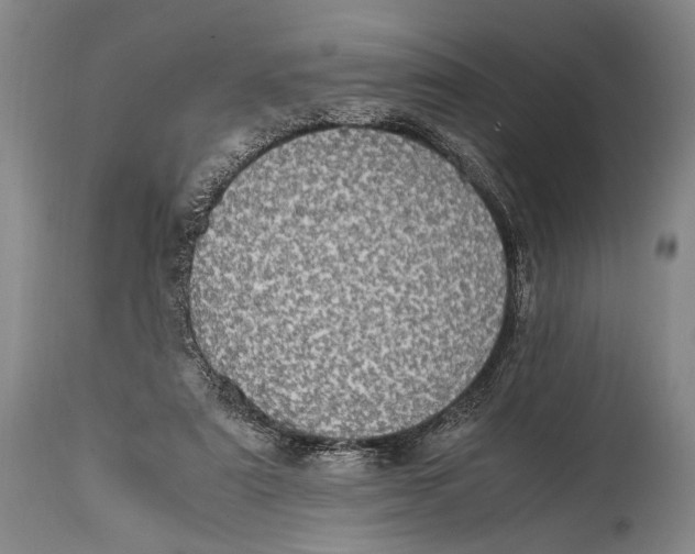 X0000114680307200911121502