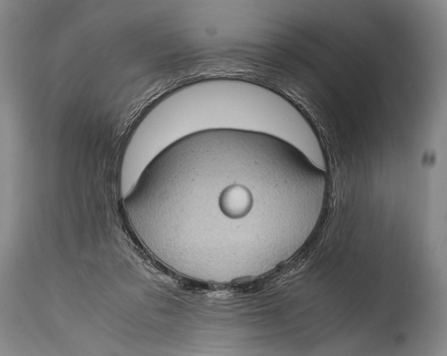 X0000114680309200911121502