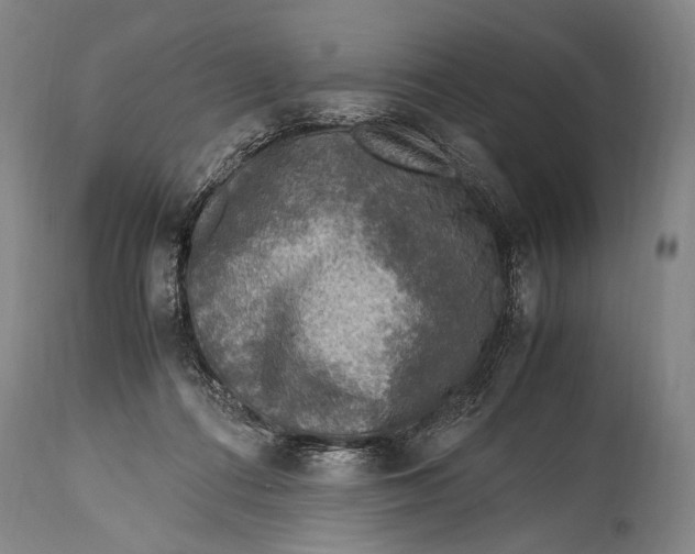 X0000114680312200911121502