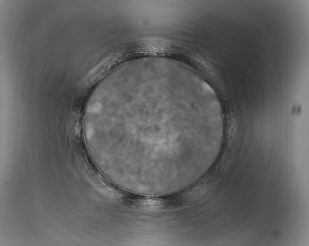 X0000114680313200911121502
