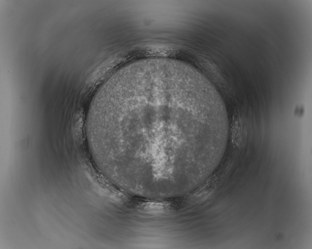 X0000114680314200911121502