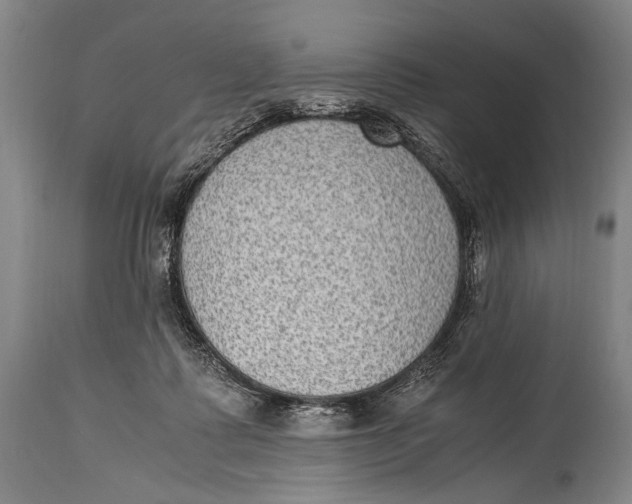 X0000114680315200911121502