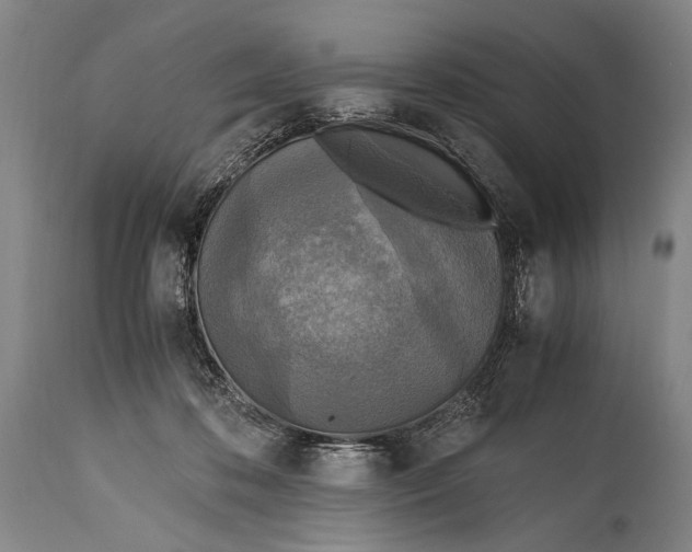 X0000114680316200911121502